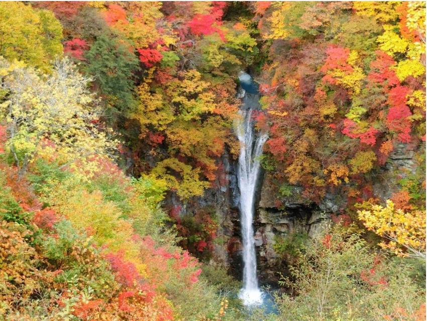 Villa ヴィンテージ那須 Nasu Esterno foto